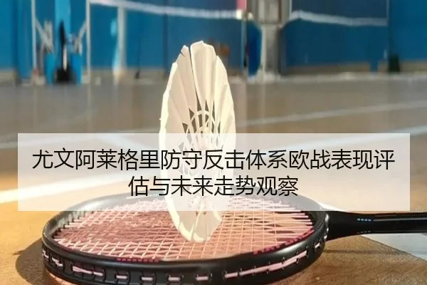 尤文阿莱格里防守反击体系欧战表现评估与未来走势观察